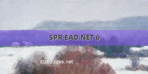 SPR EAD NET 6