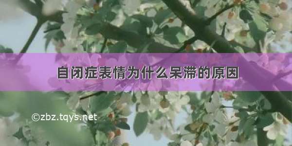 自闭症表情为什么呆滞的原因