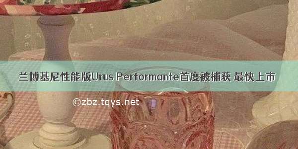 兰博基尼性能版Urus Performante首度被捕获 最快上市