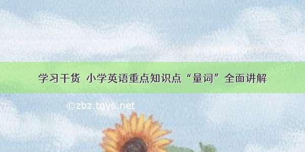 学习干货｜小学英语重点知识点“量词”全面讲解