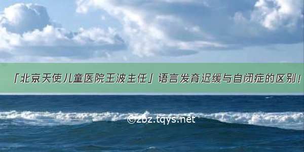 「北京天使儿童医院王波主任」语言发育迟缓与自闭症的区别！