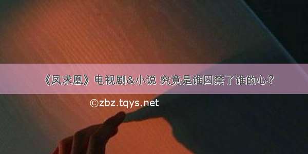 《凤求凰》电视剧&小说 究竟是谁囚禁了谁的心？