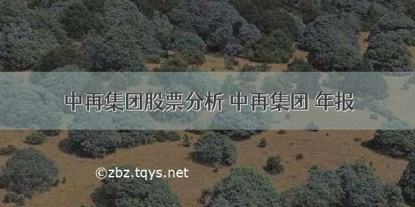 中再集团股票分析 中再集团 年报