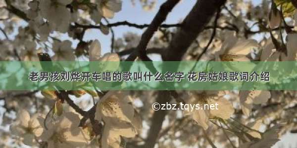 老男孩刘烨开车唱的歌叫什么名字 花房姑娘歌词介绍