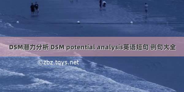 DSM潜力分析 DSM potential analysis英语短句 例句大全