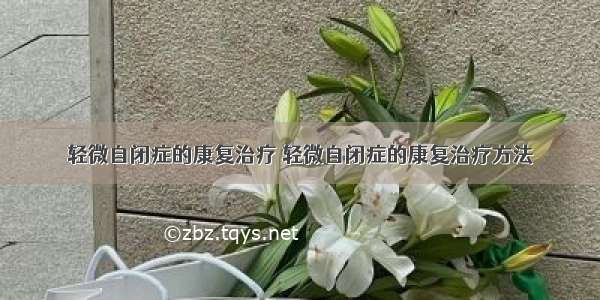 轻微自闭症的康复治疗 轻微自闭症的康复治疗方法