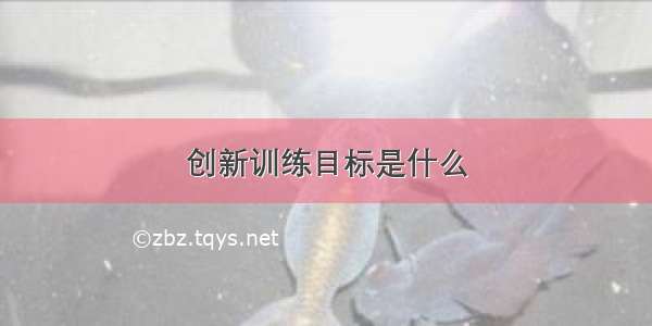 创新训练目标是什么