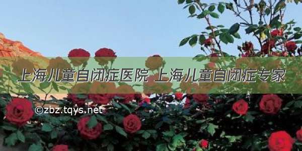 上海儿童自闭症医院 上海儿童自闭症专家