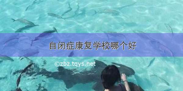 自闭症康复学校哪个好