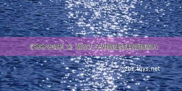 《爸爸去哪儿3》胡军儿子胡皓康资料微博照片