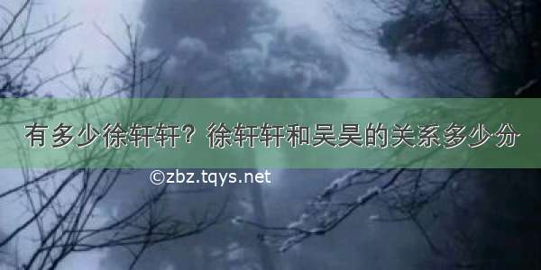 有多少徐轩轩？徐轩轩和吴昊的关系多少分