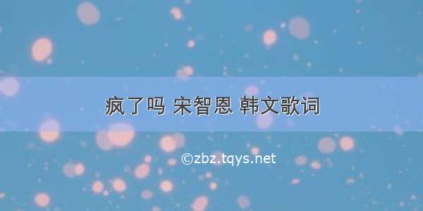 疯了吗 宋智恩 韩文歌词