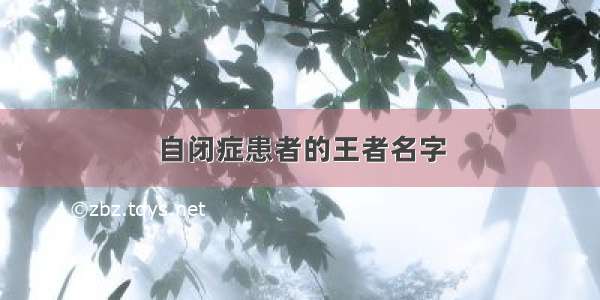 自闭症患者的王者名字