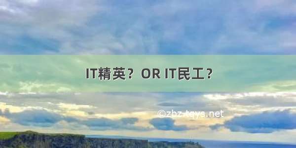 IT精英？OR IT民工？