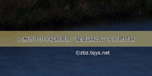 郑州市中小学校将派驻“健康副校长”实行聘任制