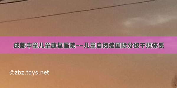 成都中童儿童康复医院——儿童自闭症国际分级干预体系