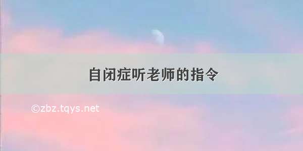 自闭症听老师的指令