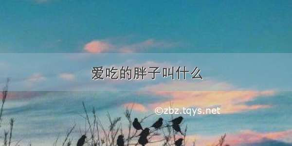 爱吃的胖子叫什么