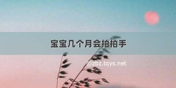 宝宝几个月会拍拍手