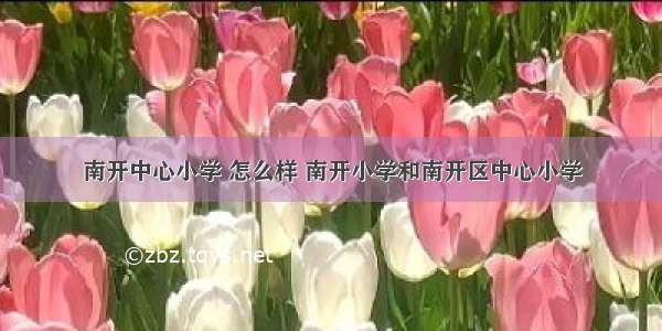 南开中心小学 怎么样 南开小学和南开区中心小学