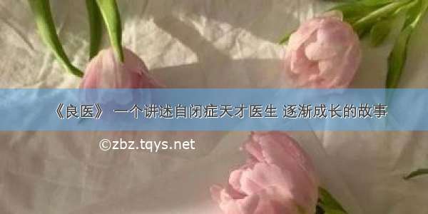 《良医》 一个讲述自闭症天才医生 逐渐成长的故事