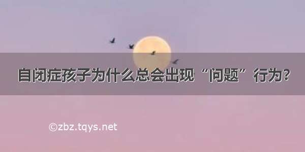 自闭症孩子为什么总会出现“问题”行为？