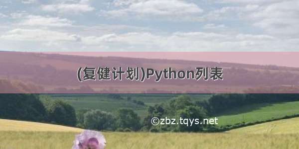 (复健计划)Python列表