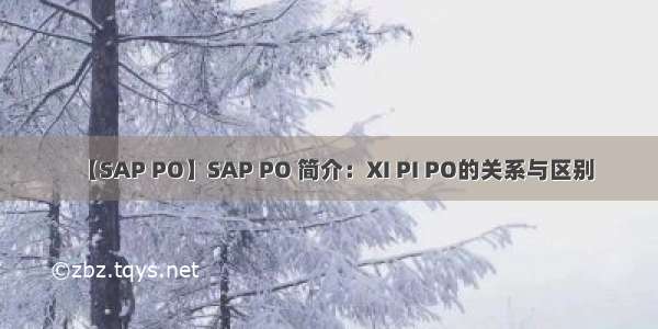 【SAP PO】SAP PO 简介：XI PI PO的关系与区别