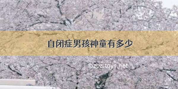 自闭症男孩神童有多少