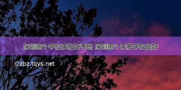 深圳哪个学校美发好考研 深圳哪个美发学校最好