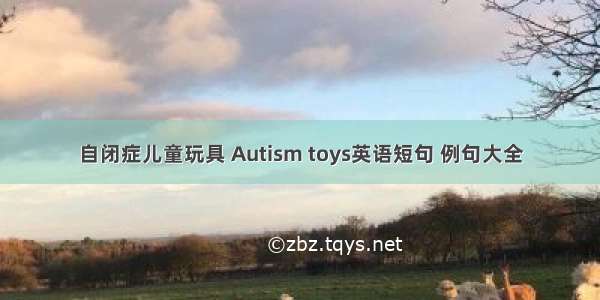 自闭症儿童玩具 Autism toys英语短句 例句大全