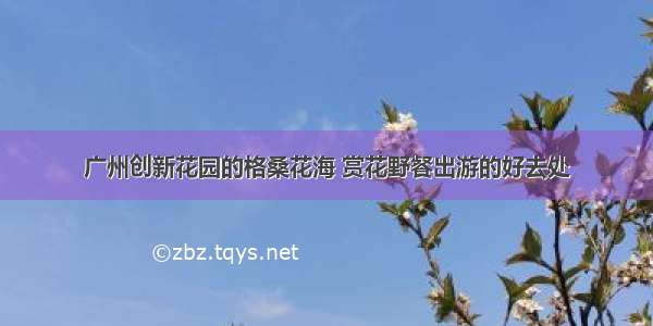 广州创新花园的格桑花海 赏花野餐出游的好去处