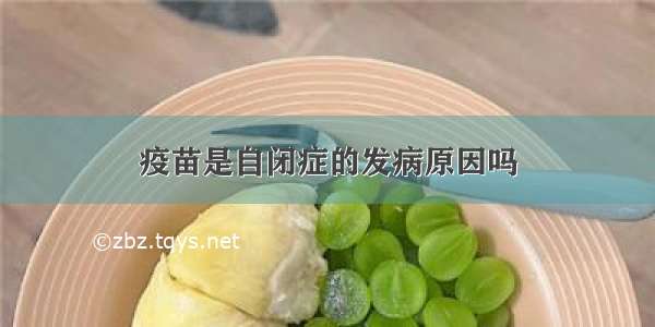 疫苗是自闭症的发病原因吗