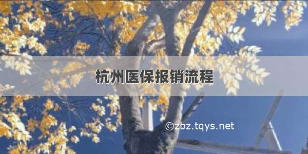 杭州医保报销流程