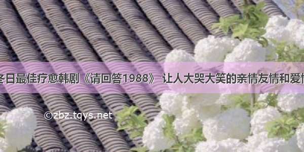 冬日最佳疗愈韩剧《请回答1988》 让人大哭大笑的亲情友情和爱情