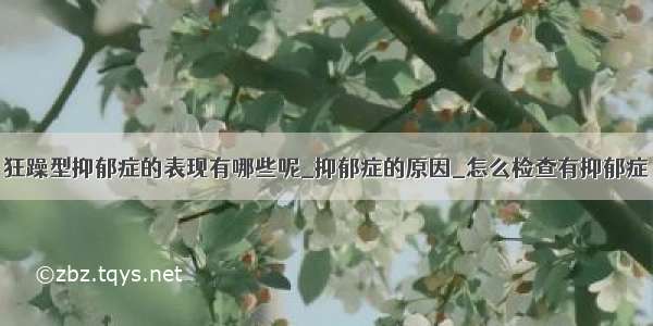 狂躁型抑郁症的表现有哪些呢_抑郁症的原因_怎么检查有抑郁症