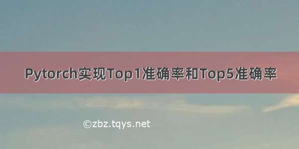 Pytorch实现Top1准确率和Top5准确率