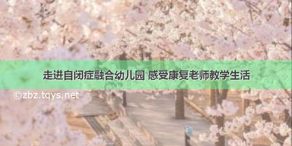 走进自闭症融合幼儿园 感受康复老师教学生活