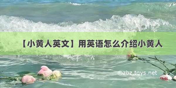 【小黄人英文】用英语怎么介绍小黄人