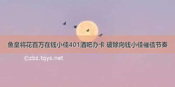 鱼皇将花百万在钱小佳401酒吧办卡 破除向钱小佳催债节奏