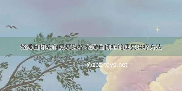 轻微自闭症的康复治疗 轻微自闭症的康复治疗方法