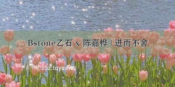 Bstone乙石 x 陈嘉桦 | 进而不舍