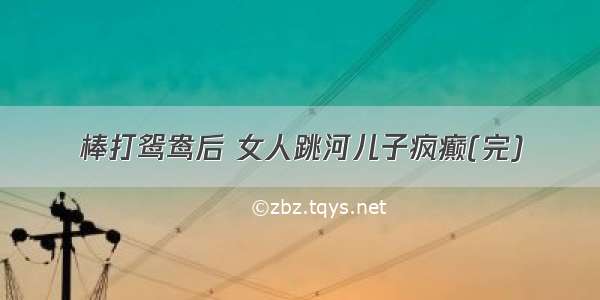 棒打鸳鸯后 女人跳河儿子疯癫(完)