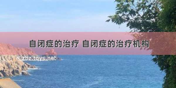 自闭症的治疗 自闭症的治疗机构