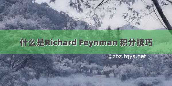 什么是Richard Feynman 积分技巧