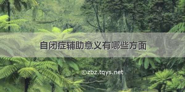 自闭症辅助意义有哪些方面