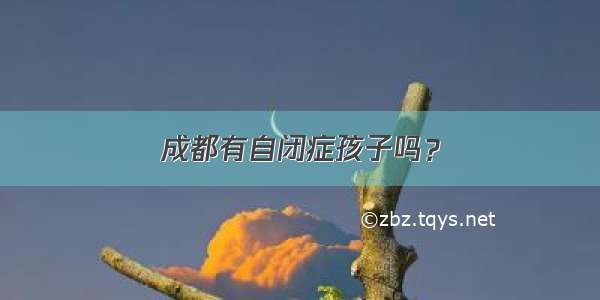 成都有自闭症孩子吗？