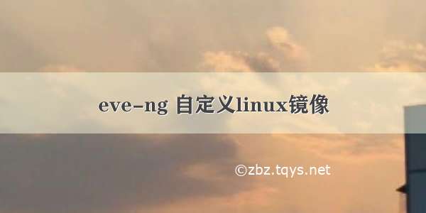 eve-ng 自定义linux镜像