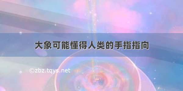 大象可能懂得人类的手指指向