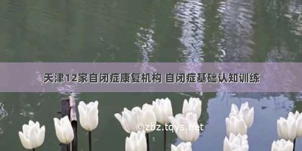 天津12家自闭症康复机构 自闭症基础认知训练